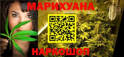 сатива Лесосибирск