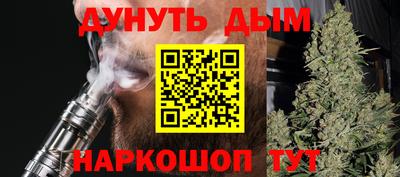 сатива Лесосибирск