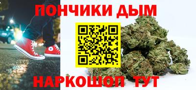 сатива Лесосибирск