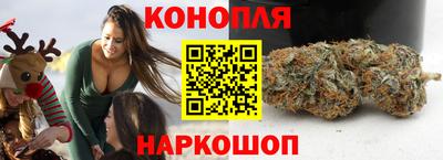 сатива Лесосибирск